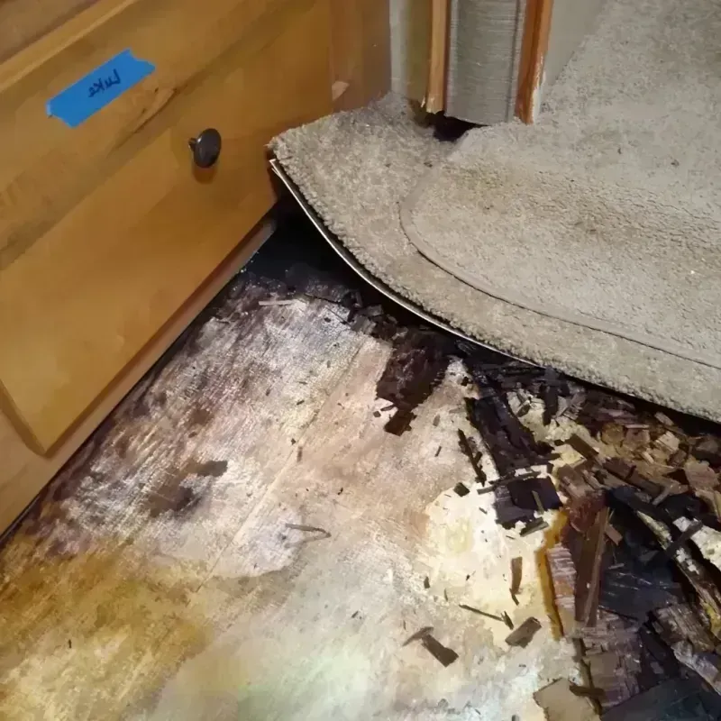 Wood Floor Water Damage in Cumberland County, PA